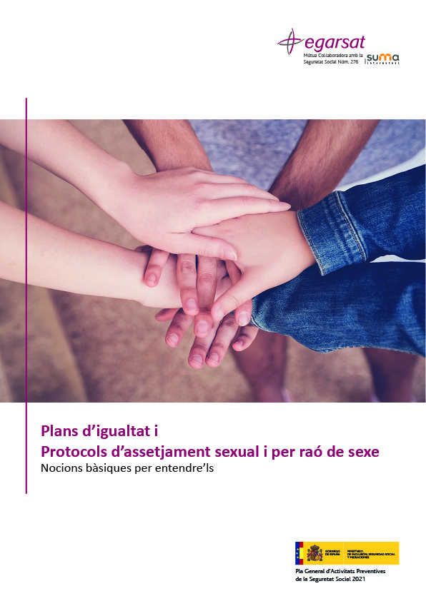 Pla d'igualtat